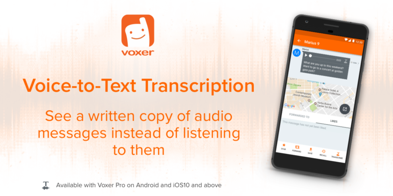 voice to text transcription mac